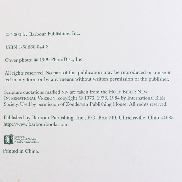 Everyday Angels Simple Ways to be An Angel Karon Phillips Goodman 2000 HC