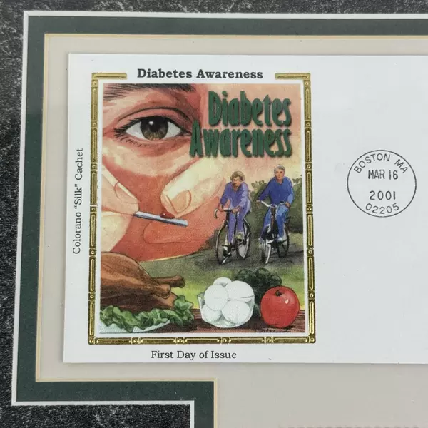 Framed Colorano Silk Cachet First Day Issue Diabetes Awareness Envelope and Pin