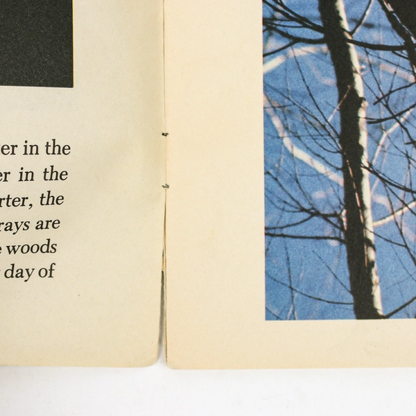 Winter Discovering the Seasons by Louis Santrey 1983 Paperback Illustrated