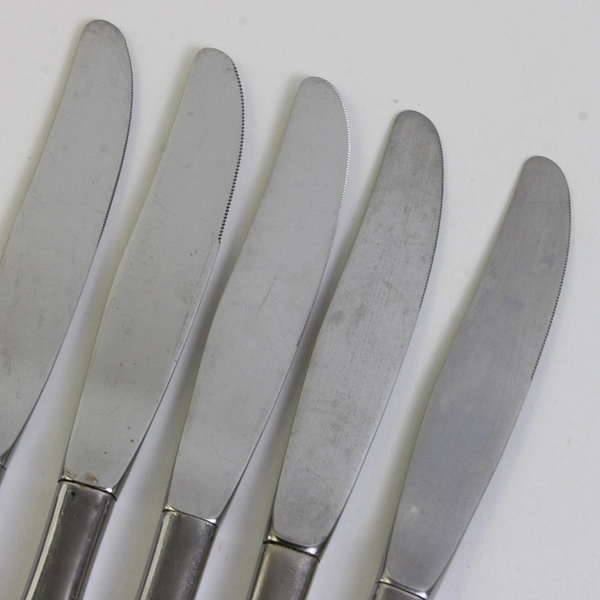Lot Of 5 Oneida Silver Lasting Rose (Stainless) Flatware Dinner Knive 8.75" Long