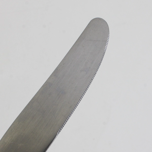 Lot Of 5 Oneida Silver Lasting Rose (Stainless) Flatware Dinner Knive 8.75" Long