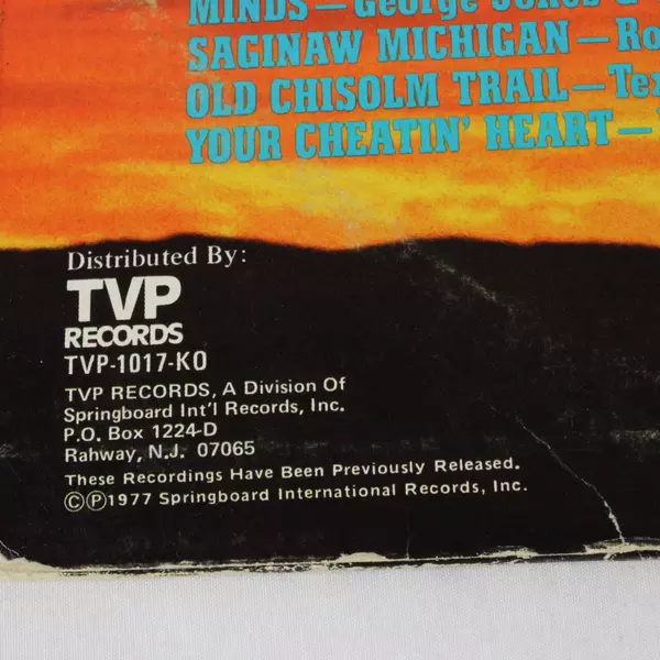 100 All Time Country Hall of Fame Hits Part 2, 2 Record Set, Vinyl Records LP