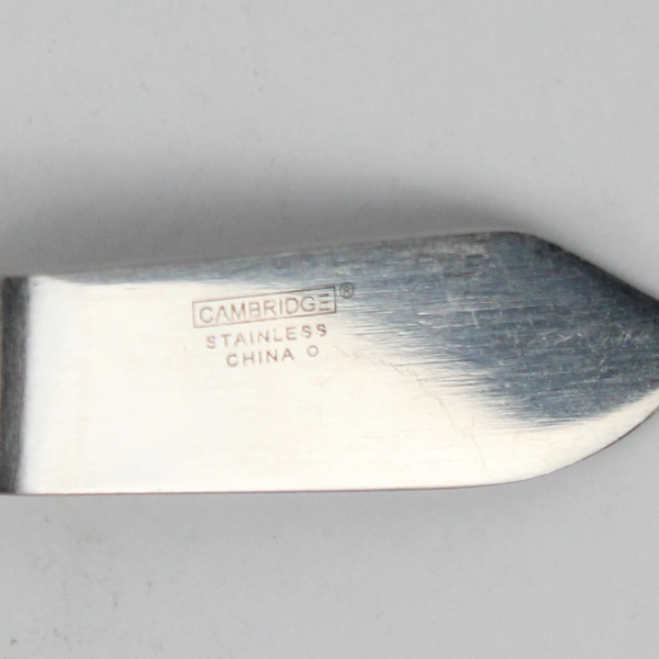 Lot Of 3 Cambridge Sasha Sand (Stainless) Flatware 2 Spoons & 1 Butter Knife