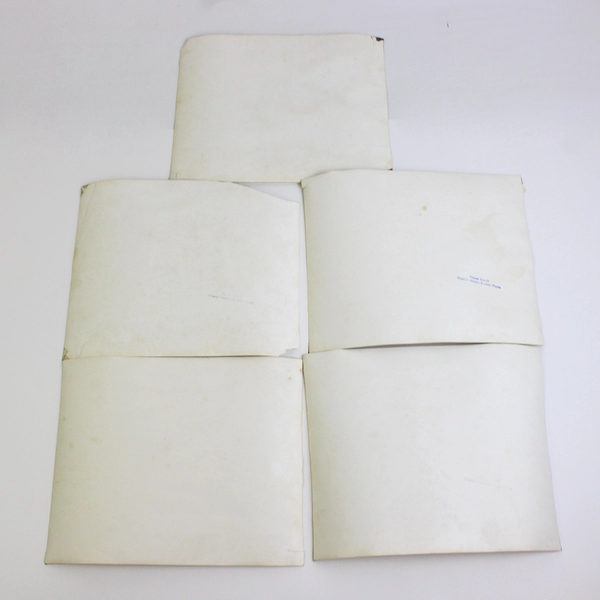 Set of 5 Vintage Hawaii Visitors Bureau Water Skiing Photos FLAWED