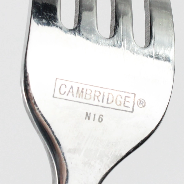 Lot Of 5 Cambridge Silver Riverdale (Stainless) Flatware 3 Dinner Forks 2 Salad