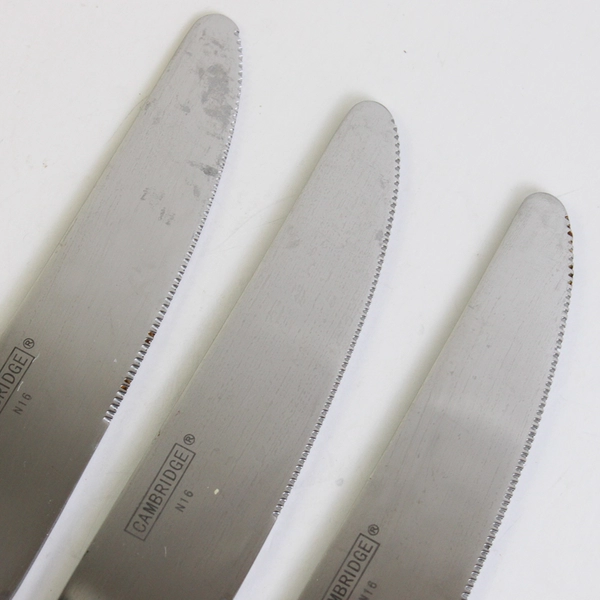 Lot Of 3 Cambridge Silver Riverdale (Stainless) Flatware Dinner Knives 9" Long