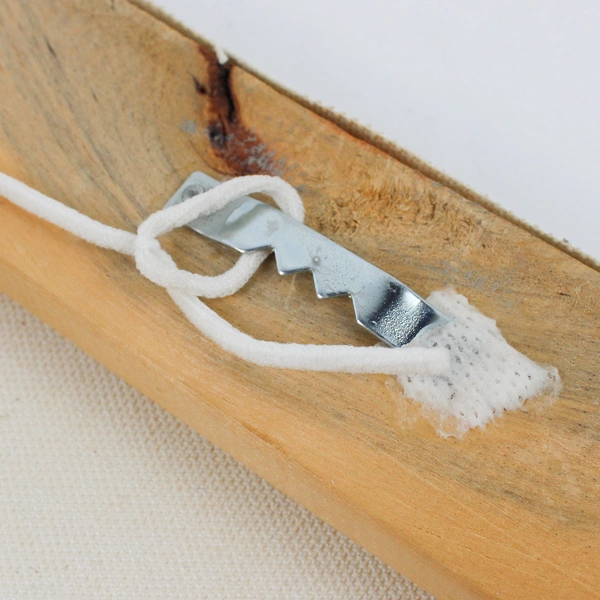 2006 Signed Winter Blue Jay Original Acrylic Painting On Canvas 9 3/4" x 8"