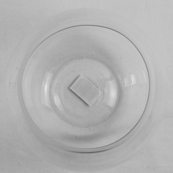 WGV Bowl Clear Glass Vase Bubble Planter Bowl Decor 4.75" Tall VBW0006