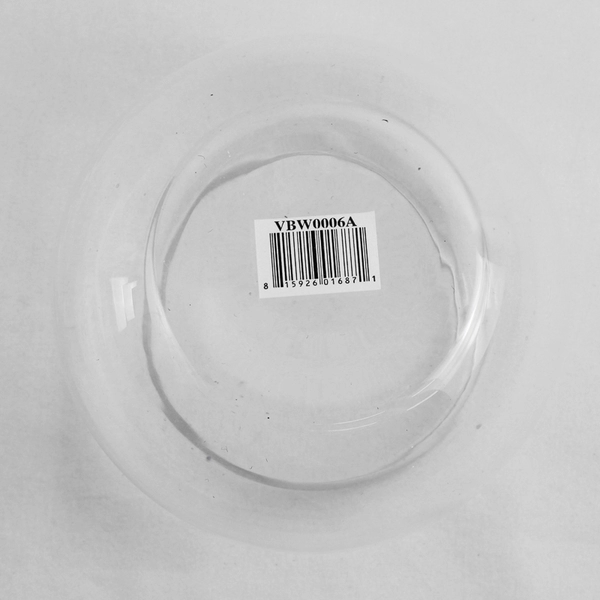 WGV Bowl Clear Glass Vase Bubble Planter Bowl Decor 4.75" Tall VBW0006
