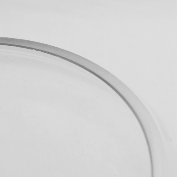 WGV Bowl Clear Glass Vase Bubble Planter Bowl Decor 4.75" Tall VBW0006