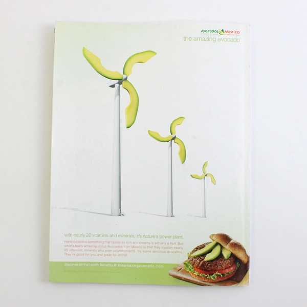 Good Housekeeping Magazine June 2009 Features Fast Healthy Food