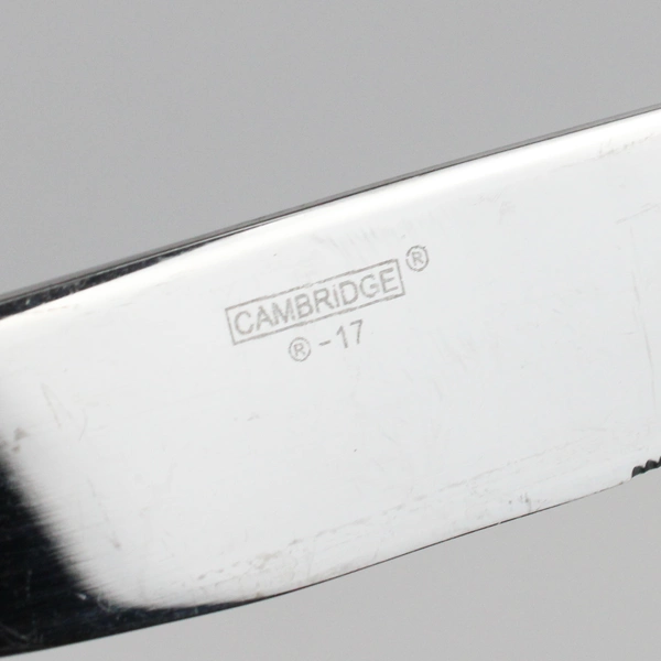 Lot Of 4 Cambridge Silver Seine (Stainless) Flatware 2 Dinner Knives Salad Forks