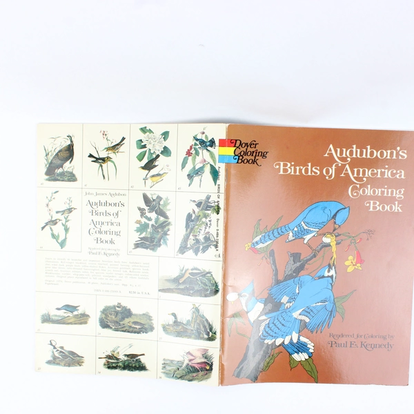 Audubon's Birds of America Coloring Book by John James Audubon 1974 Paperback