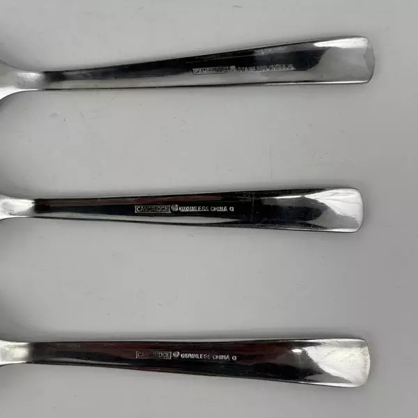 Lot of 3 Cambridge Teaspoons Boa Frost Stainless Steel 6 7/8" Made in China