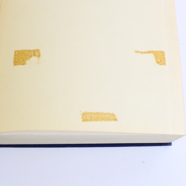 The Blue-China Book by Ada Walker Camehl 1916 Hardcover Early American History