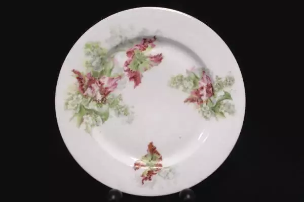 Vintage J&C Bavaria Hand Painted Flower Plate 9.75" Germany Decor Collector