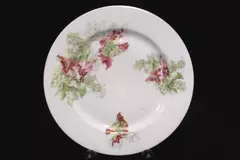 Vintage J&C Bavaria Hand Painted Flower Plate 9.75" Germany Decor Collector