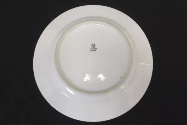 Vintage J&C Bavaria Hand Painted Flower Plate 9.75" Germany Decor Collector