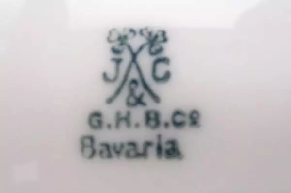 Vintage J&C Bavaria Hand Painted Flower Plate 9.75" Germany Decor Collector