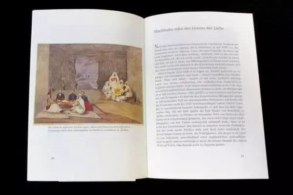 Bayerische Vereinsbank Guidebook: Eckart Klebmann Fürst Pückler-Muskau