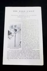 The Bald Eagle Lithograph Print Gilbert Pearson Audubon Society Leaflet