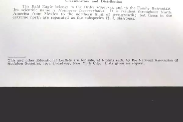 The Bald Eagle Lithograph Print Gilbert Pearson Audubon Society Leaflet