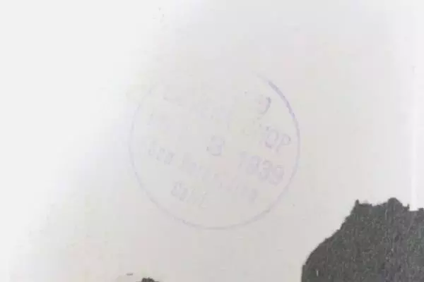 Lot of 3 Vintage 1930s Black & White Family Photos Antique Collectibles