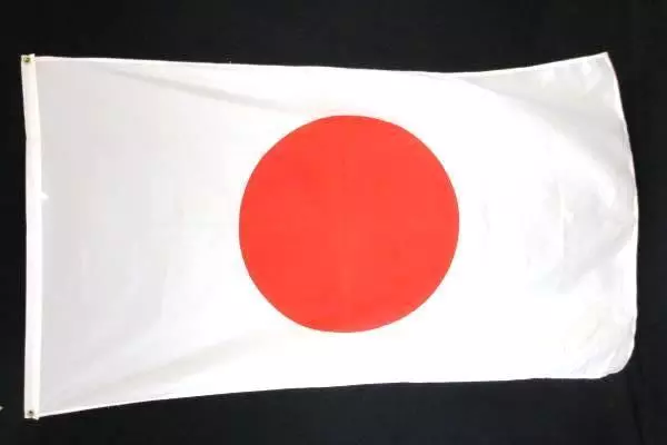Japan Flag 35"x60" Polyester with Grommets - Vintage Collectible
