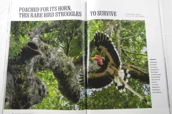 National Geographic September 2018 Magazine: The Story of a Face