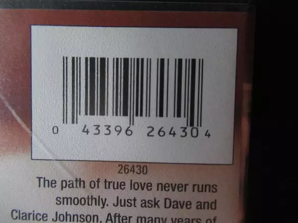 Lot of 2 Romance DVDs The Best Man & Not Easily Broken Taye Diggs