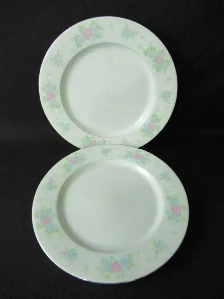 Lot of 2 China Garden Jian Shiang 10.5" Floral Dinner Plates