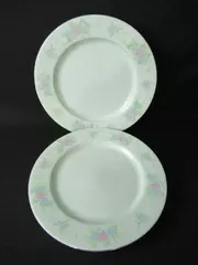 Lot of 2 China Garden Jian Shiang 10.5" Floral Dinner Plates