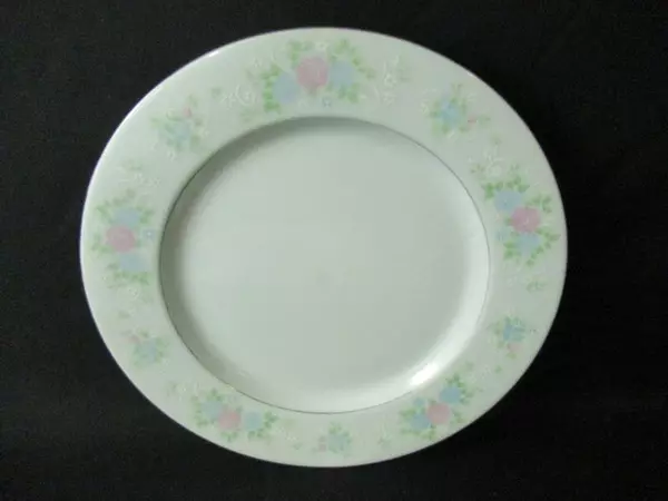 Lot of 2 China Garden Jian Shiang 10.5" Floral Dinner Plates