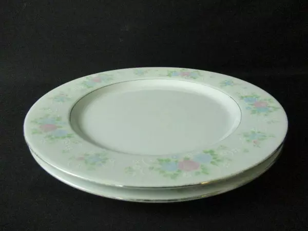 Lot of 2 China Garden Jian Shiang 10.5" Floral Dinner Plates