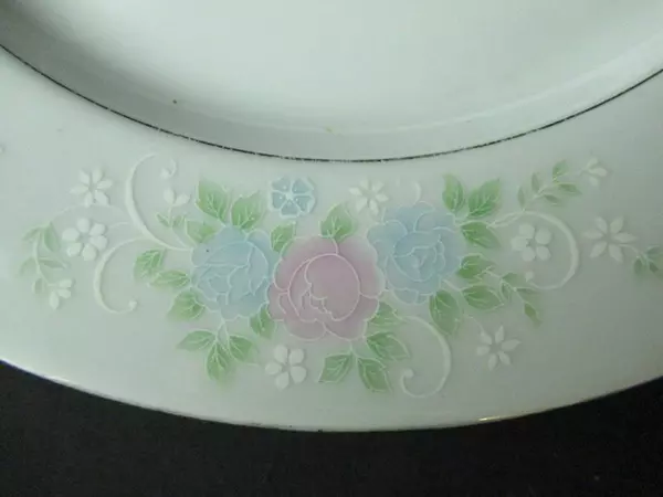 Lot of 2 China Garden Jian Shiang 10.5" Floral Dinner Plates