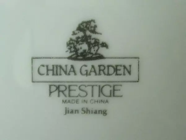 Lot of 2 China Garden Jian Shiang 10.5" Floral Dinner Plates