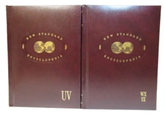 Lot of 2 New Standard Encyclopedias Vol 18 'UV' & Vol 19 'WXYZ' HC Books