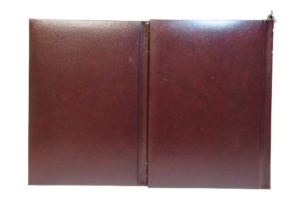 Lot of 2 New Standard Encyclopedias Vol 18 'UV' & Vol 19 'WXYZ' HC Books