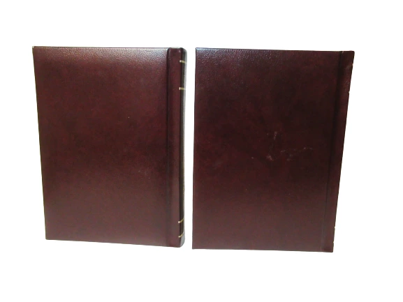 Lot of 2 New Standard Encyclopedia Vol 15 S SLU & Vol 16 SMA SZ