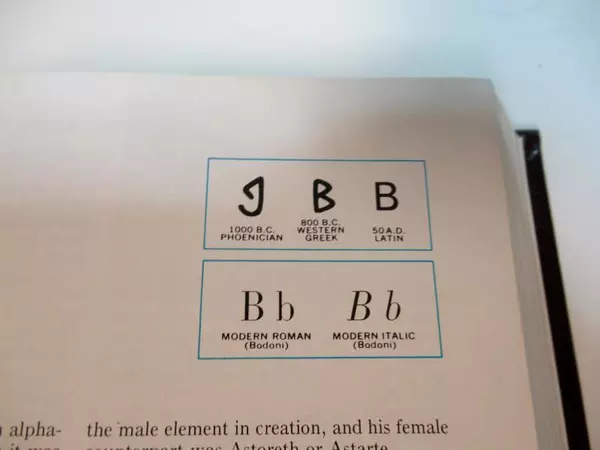 New Standard Encyclopedia Vol. B Hardcover 1991 - Good Condition