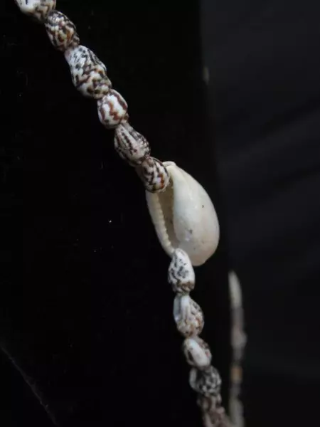 Lot of 6 Tropical Seashell Necklaces Beach Jewelry Coastal Style