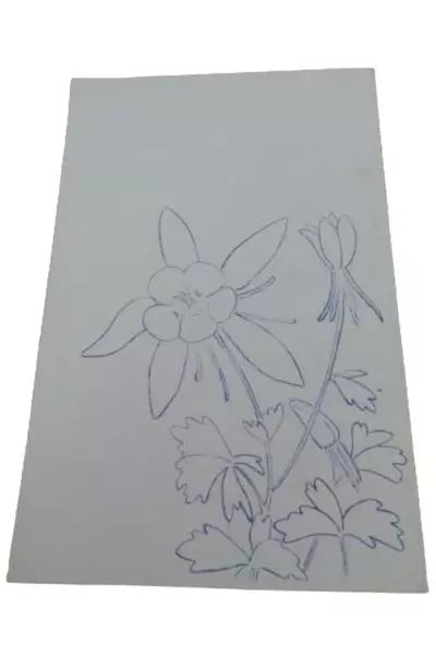 The Columbine Remembers: Poems by Anna B. May 1984 Vintage Paperback