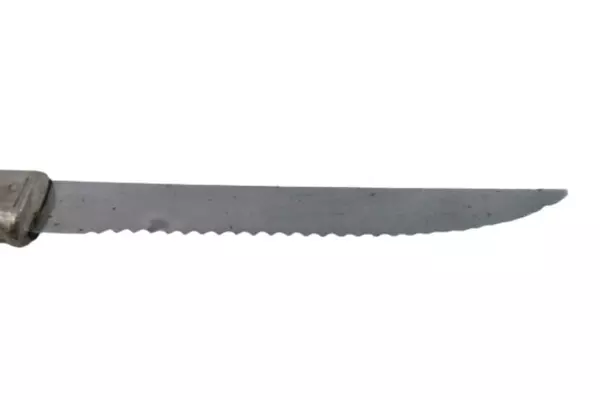 Vintage Forgecraft Stainless Steel Serrated Steak Knife Beige Handle USA