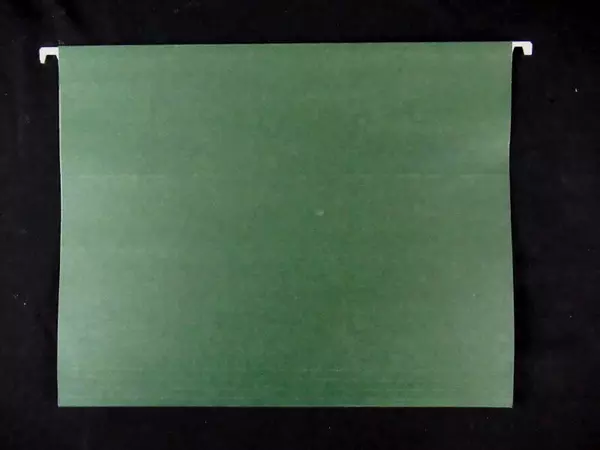Standard Size Hanging File Folders Office Supplies Green Hook Storage Lot Of 25 