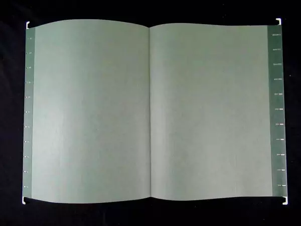 Standard Size Hanging File Folders Office Supplies Green Hook Storage Lot Of 25 