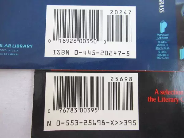 Lot of 2 Jim Warren Illustrated Book Covers: Proteus & Runespear