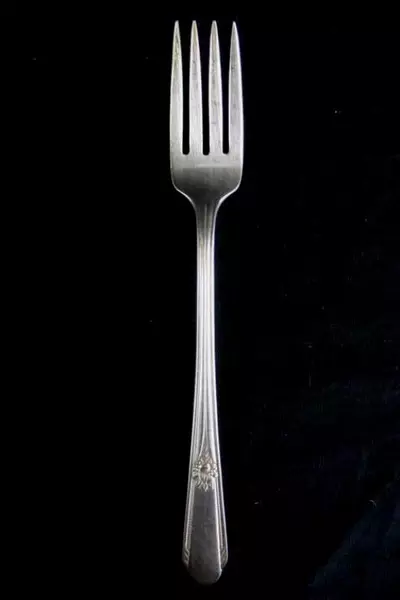 Vintage Wm Rogers Hiawatha Grille Fork 1937 Silverplate Floral 7.5"
