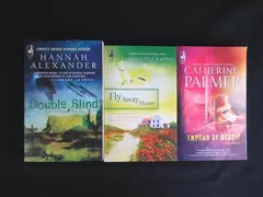 Lot of 3 Steeple Hill Christy Award Winning PB Books - Fly Away Home & More