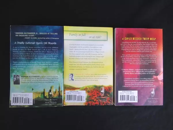 Lot of 3 Steeple Hill Christy Award Winning PB Books - Fly Away Home & More