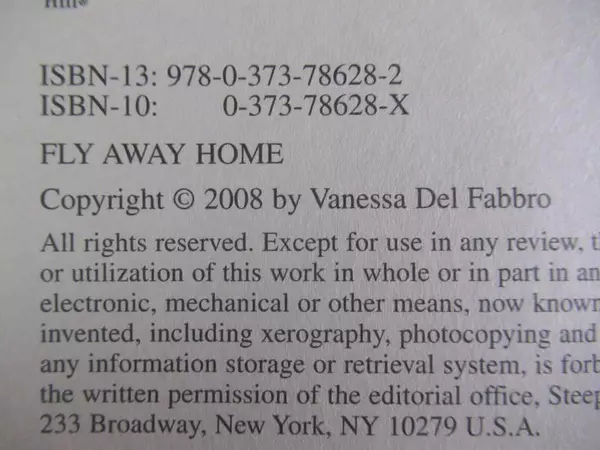 Lot of 3 Steeple Hill Christy Award Winning PB Books - Fly Away Home & More